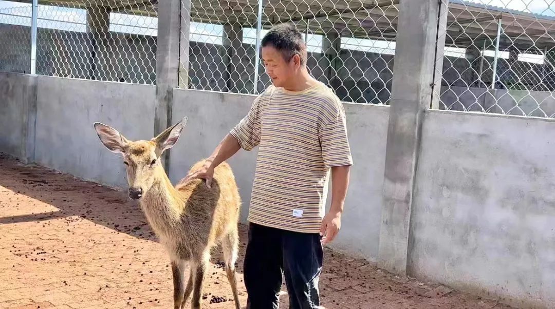 云海捕鱼红包版
